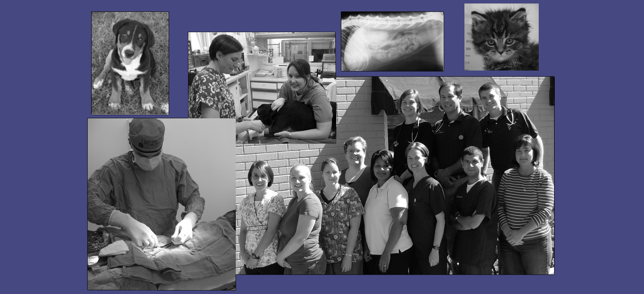 Staff of Monticello Animal Hospital