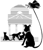 Monticello Animal Hospital Your Charlottsville Vet in Albermarle County