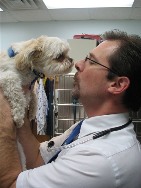 Doctor holding dog