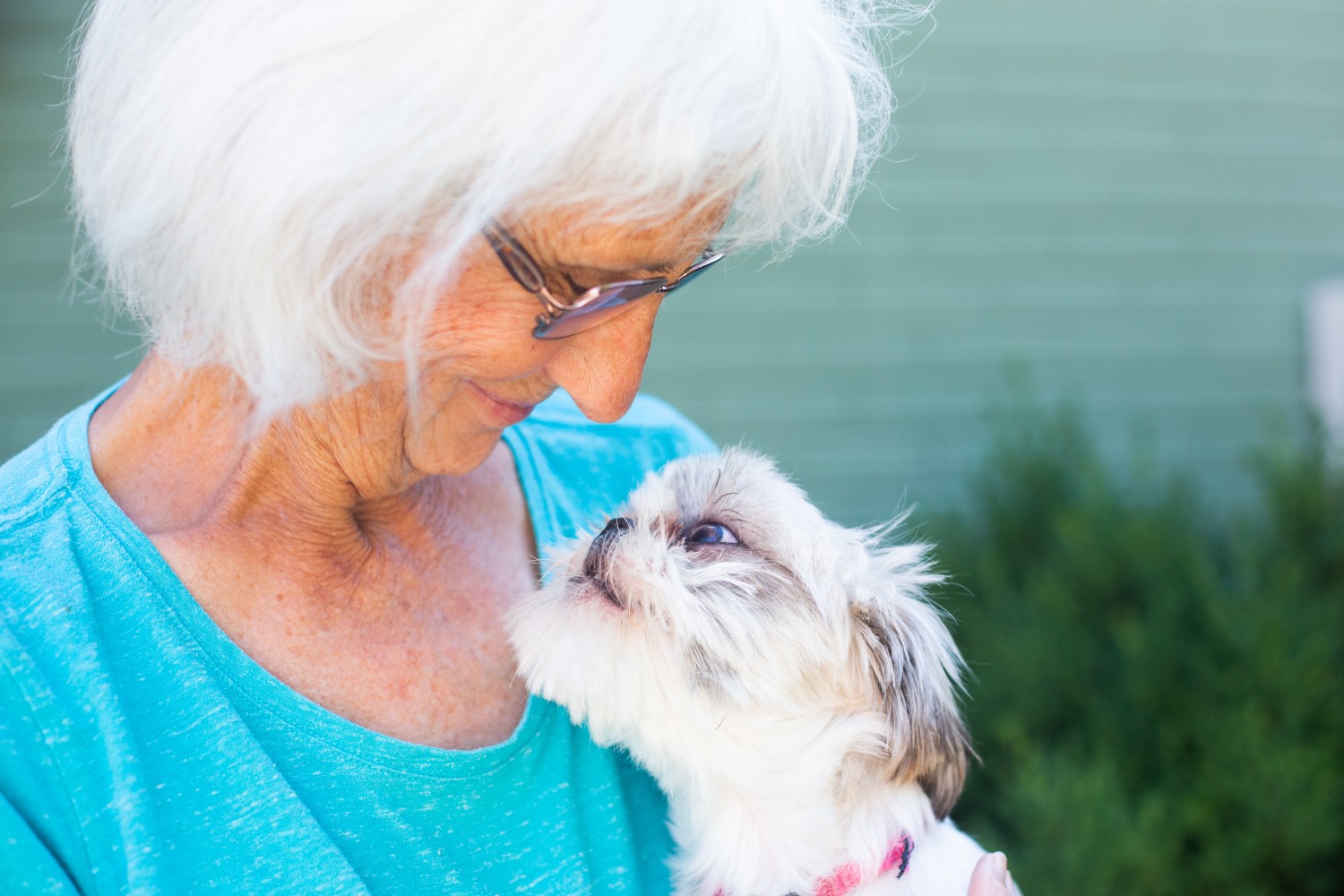 Owner with pet